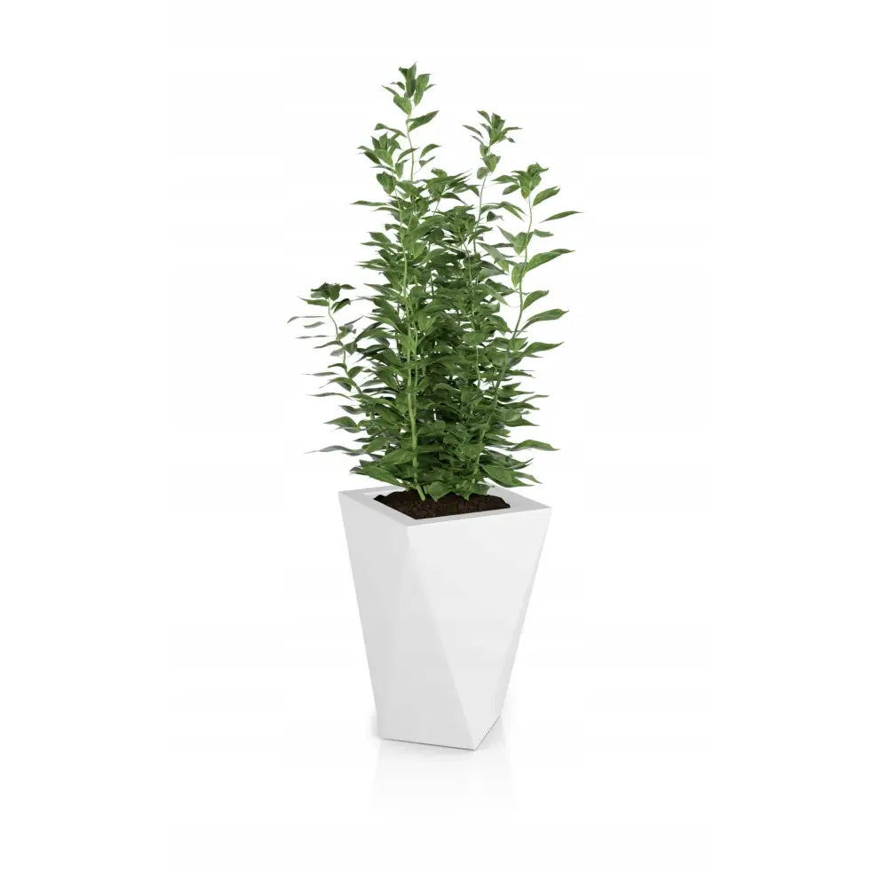 Blomsterpotte Vaso Hvit (full Kapasitet + Vann Drenering)