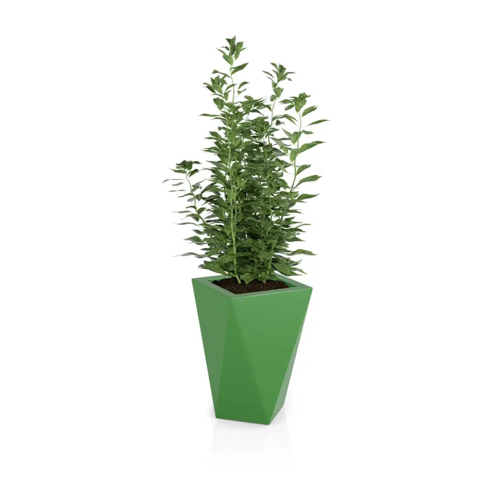 Blomsterpotte Vaso Lime (full Kapasitet + Vann Drenering)