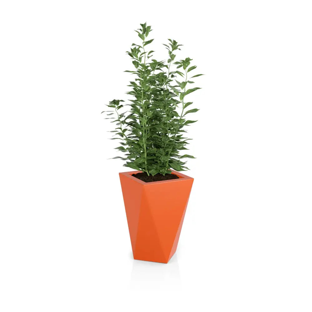 Blomsterpotte Vaso Oransje (full Kapasitet + Vann Drenering)