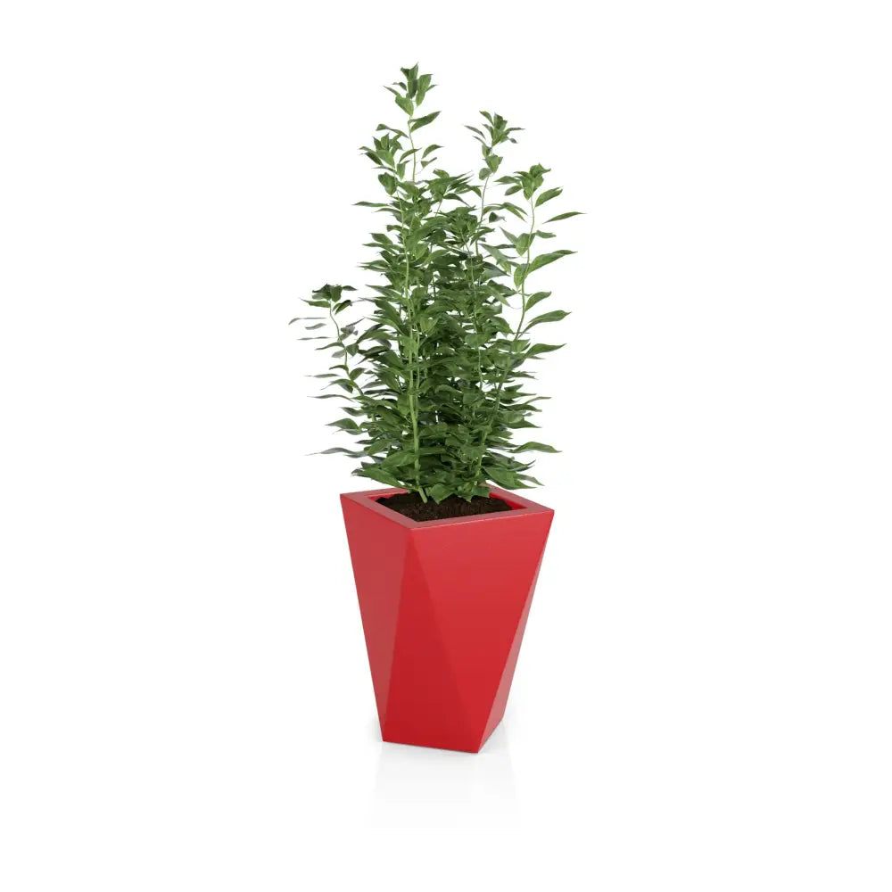 Blomsterpotte Vaso Rød (med Indre Hylle + Vann Drenering)