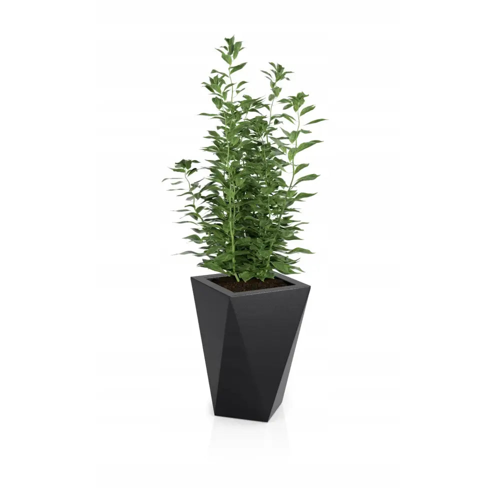 Blomsterpotte Vaso Svart (full Kapasitet + Vann Drenering)