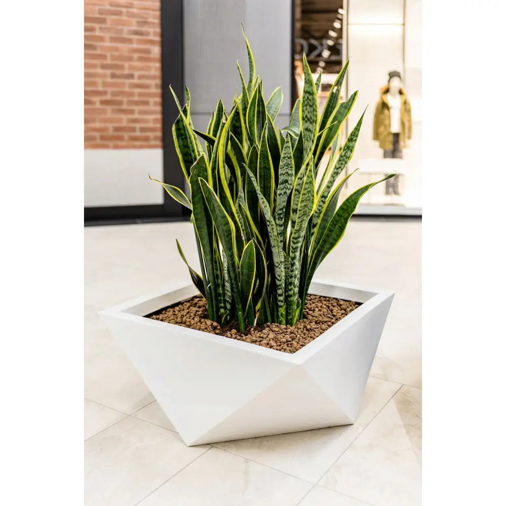 Blomsterpotte Vendetta Antrasitt (med Indre Hylle + Vann Drenering)