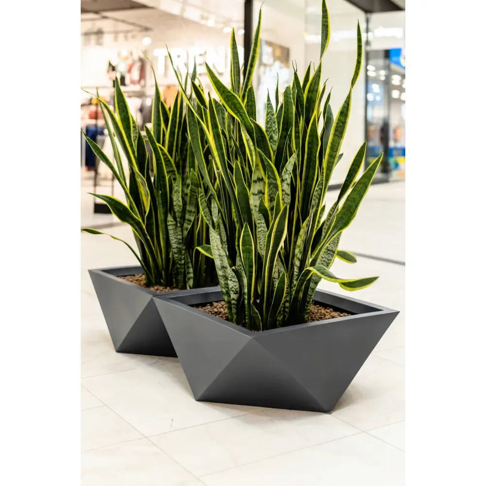 Blomsterpotte Vendetta Grå (full Kapasitet)