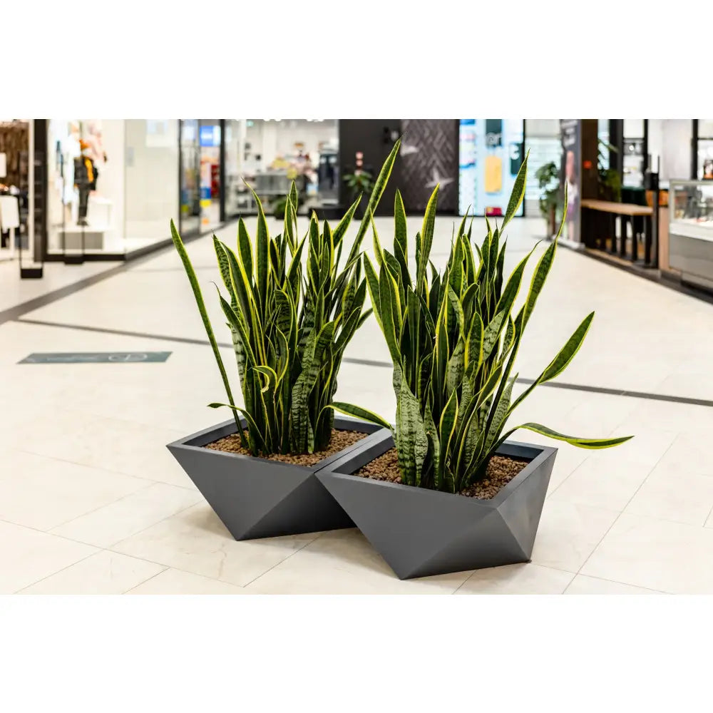 Blomsterpotte Vendetta Grå (med Indre Hylle)