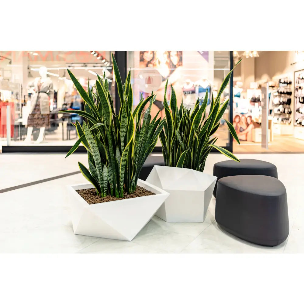 Blomsterpotte Vendetta Hvit (full Kapasitet)