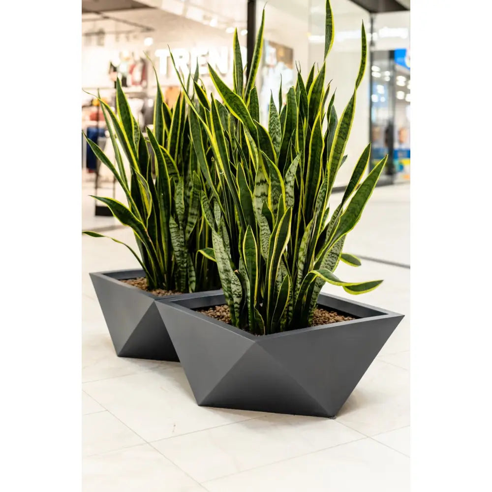 Blomsterpotte Vendetta Lime (med Indre Hylle)