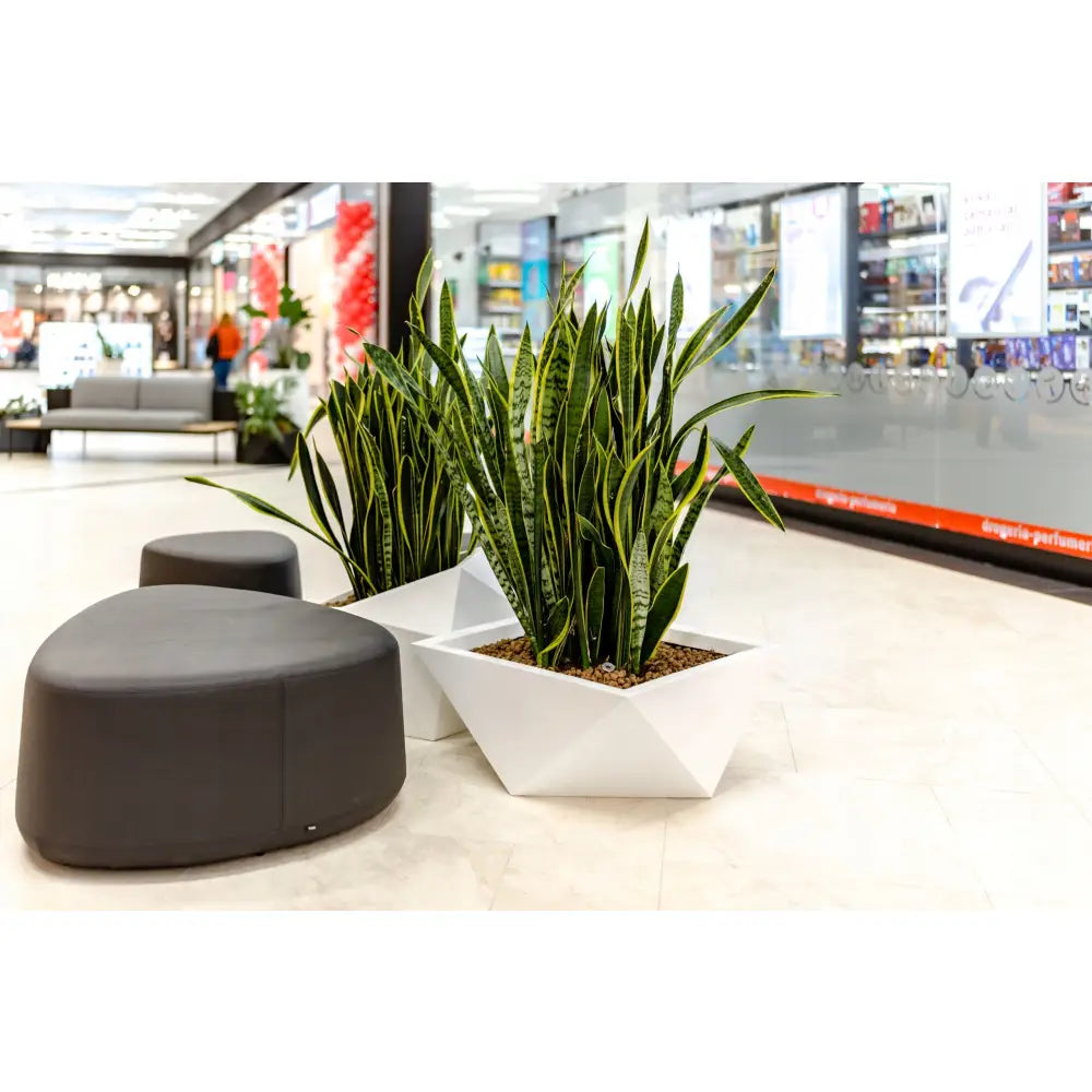 Blomsterpotte Vendetta Svart (med Indre Hylle + Vann Drenering)