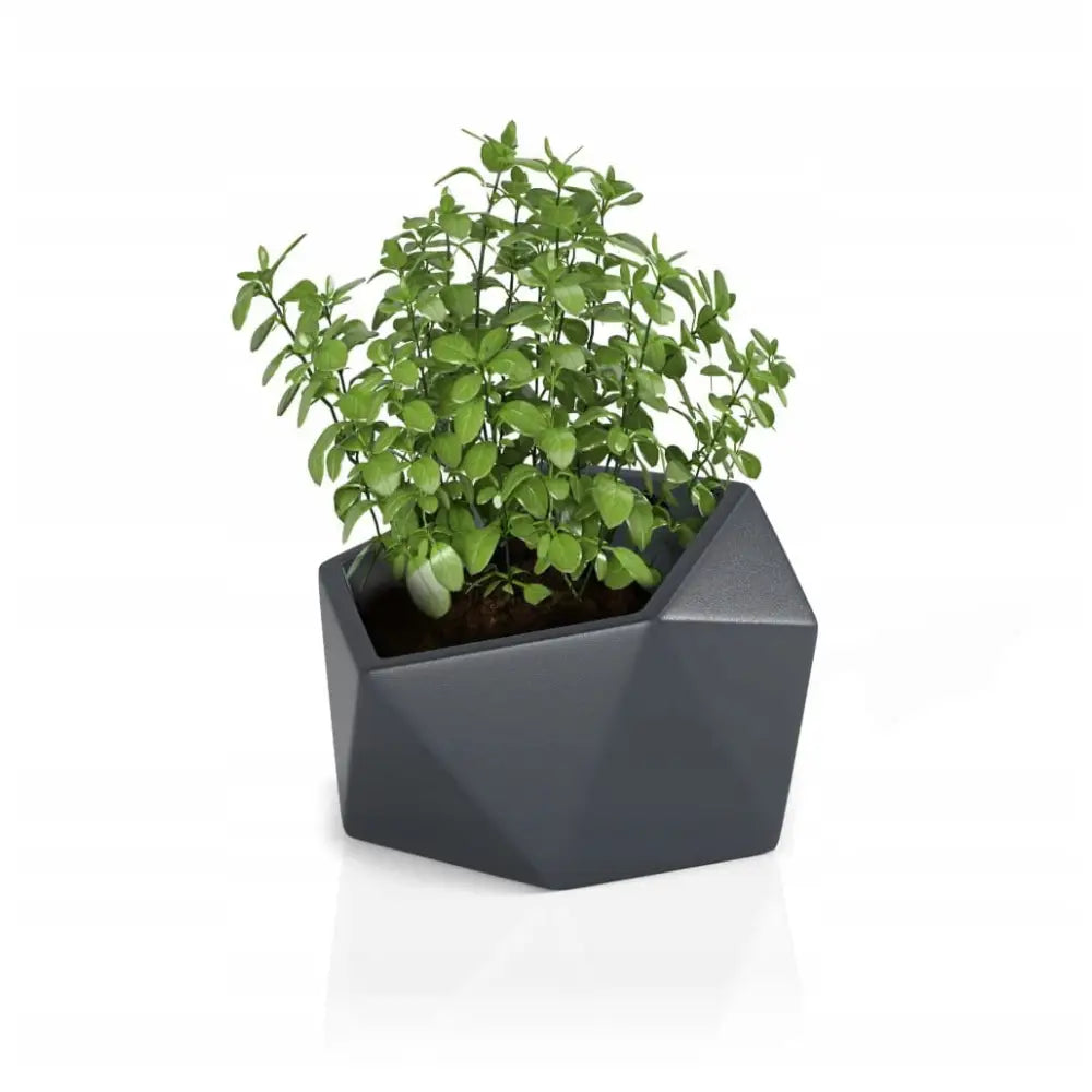Blomsterpotte Vesari Antrasitt (full Kapasitet)