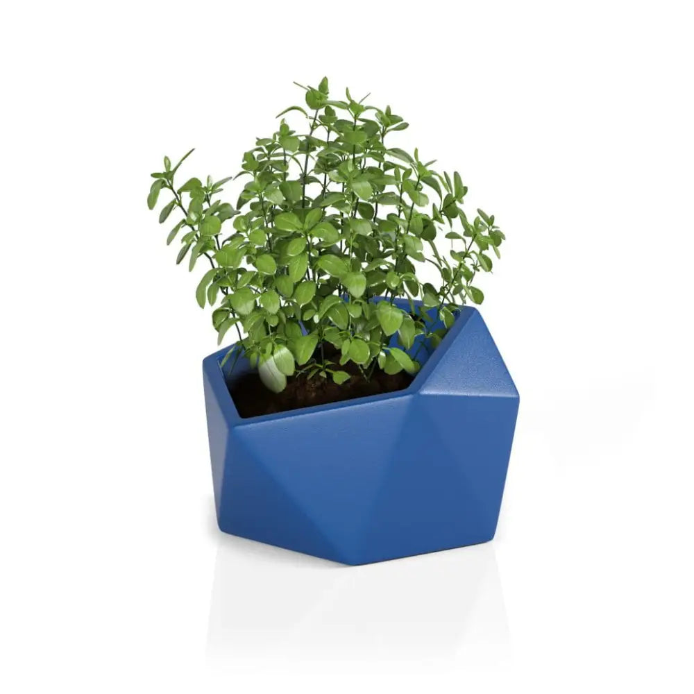 Blomsterpotte Vesari Blå (med Indre Hylle)