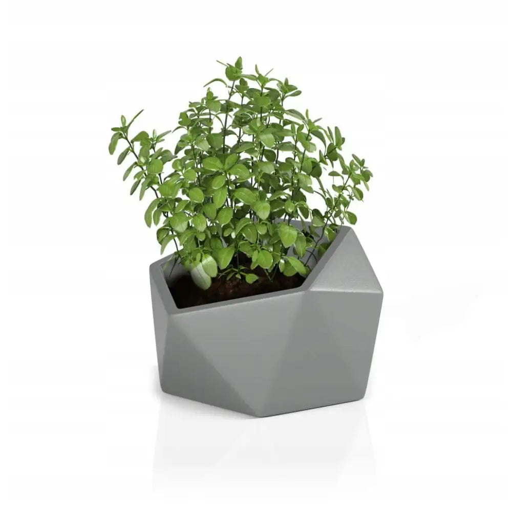 Blomsterpotte Vesari Grå (med Indre Hylle + Vann Drenering)