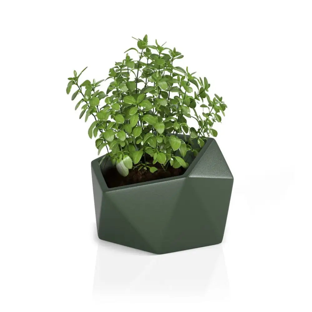 Blomsterpotte Vesari Grønn (med Indre Hylle)