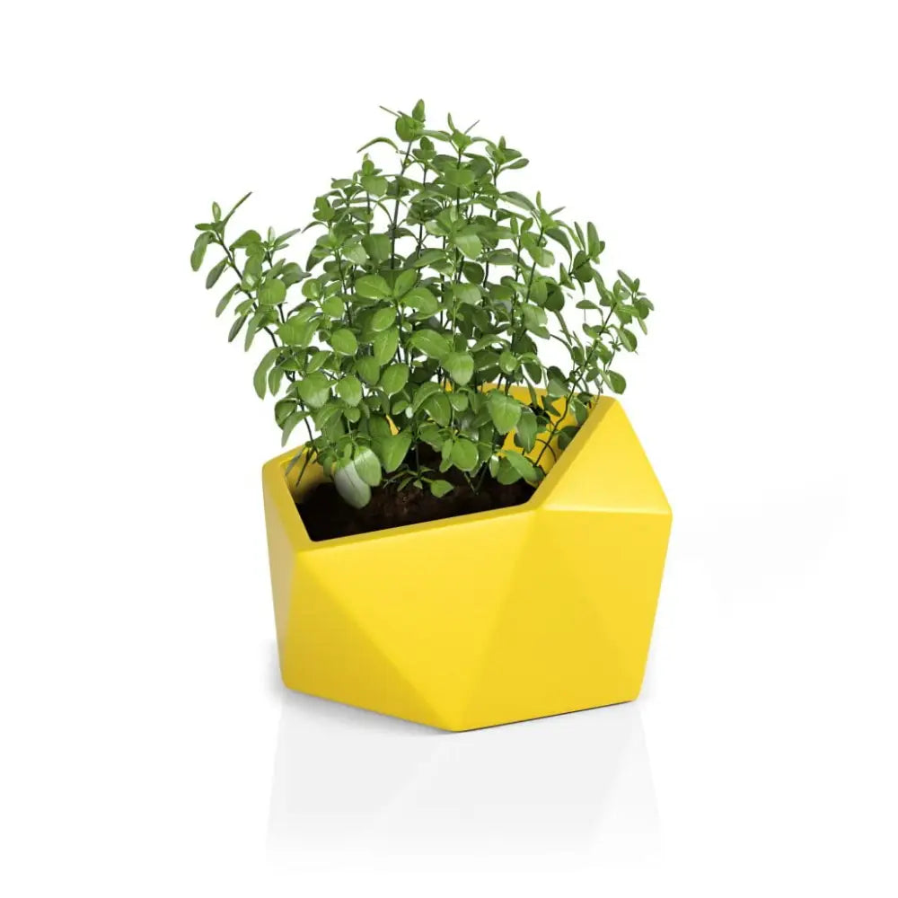 Blomsterpotte Vesari Gul (full Kapasitet)