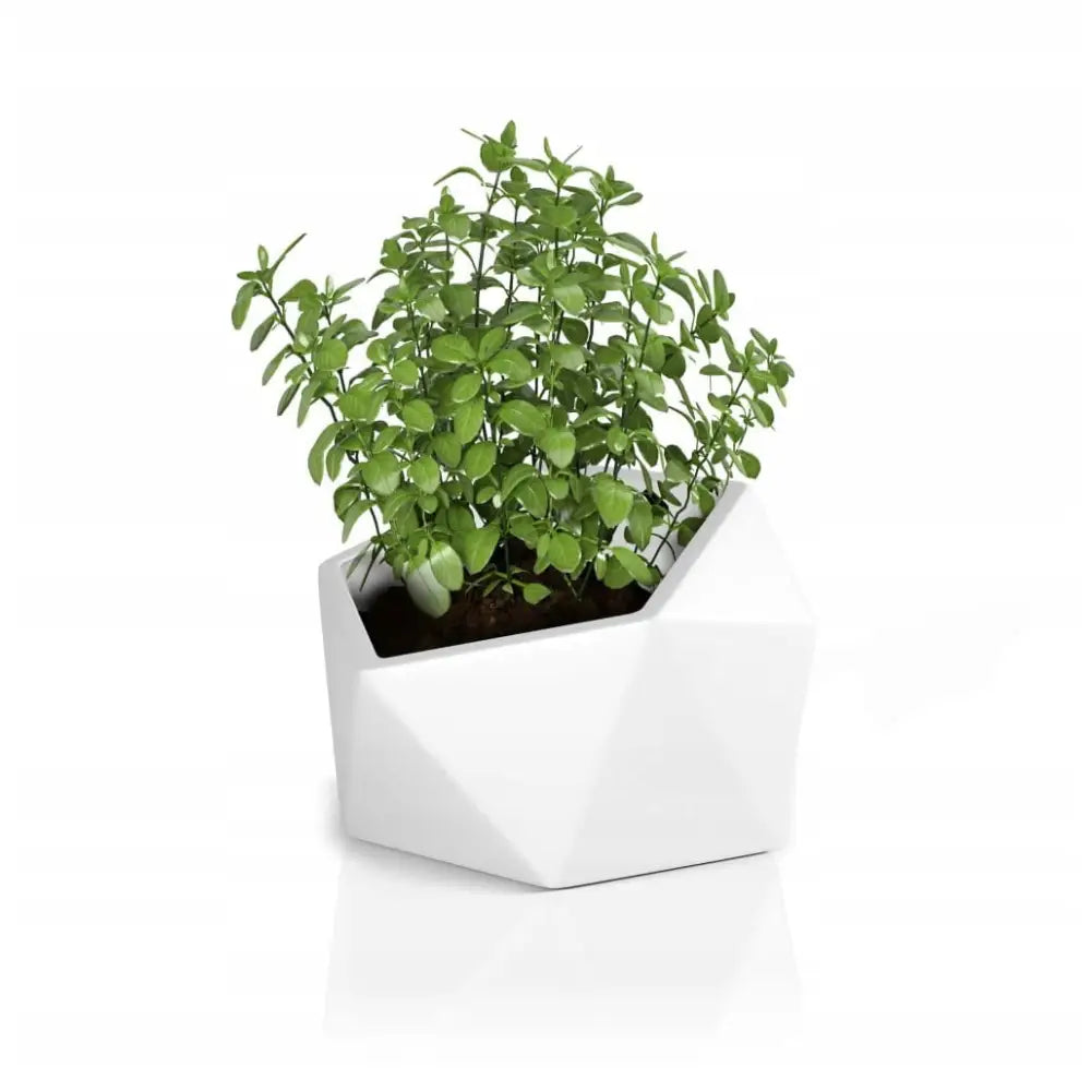 Blomsterpotte Vesari Hvit (med Indre Hylle)