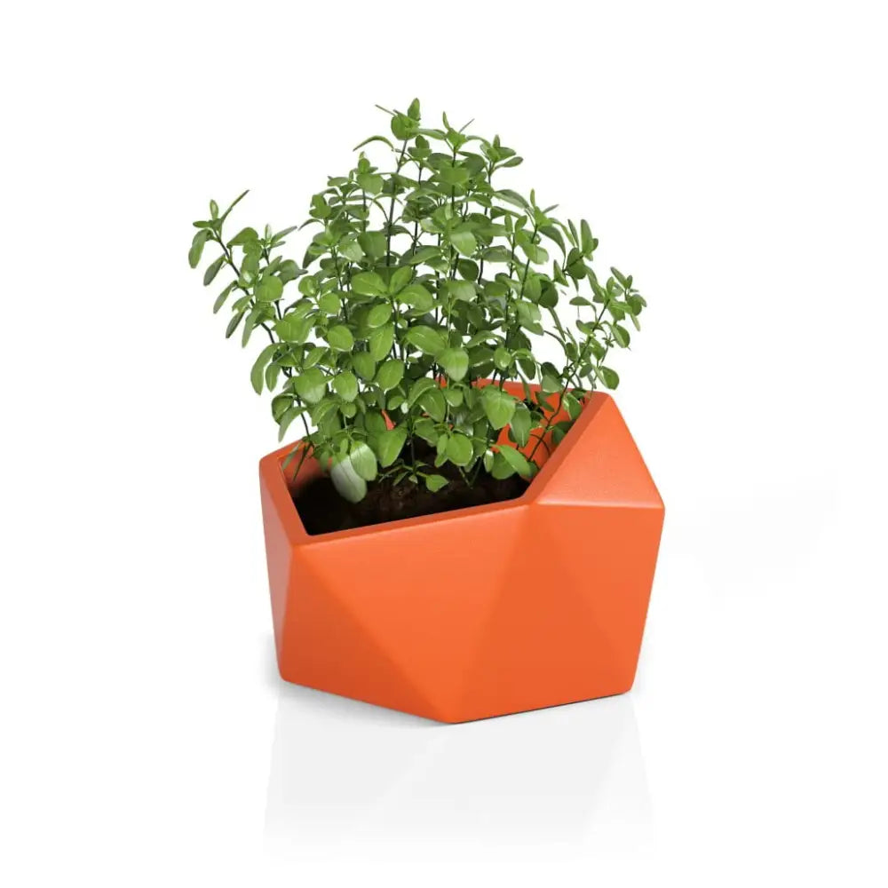 Blomsterpotte Vesari Oransje (med Indre Hylle)