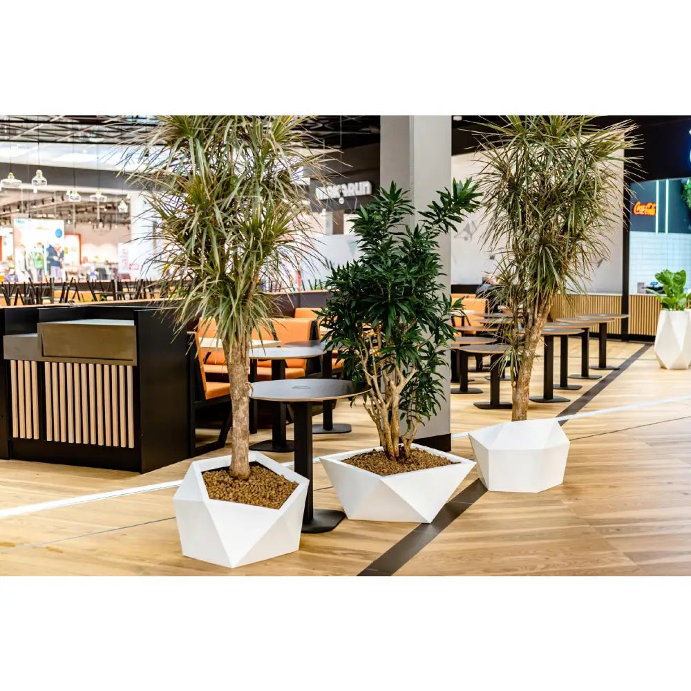 Blomsterpotte Vesari Svart (med Indre Hylle + Vann Drenering)