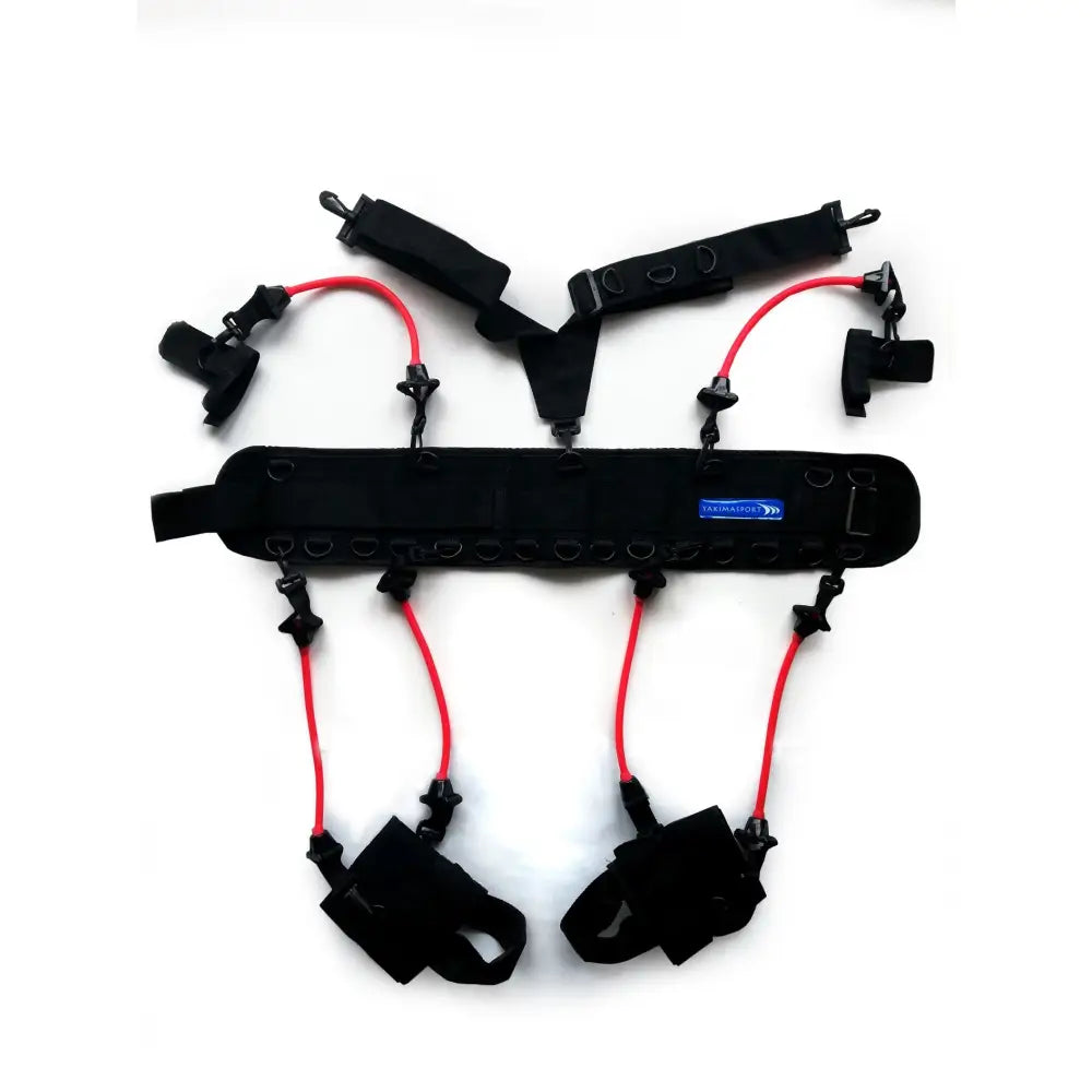 Boksetrening Kaugummi sele med polstrede mansjetter, røde elastiske bånd og justerbare stropper sett ovenfra.