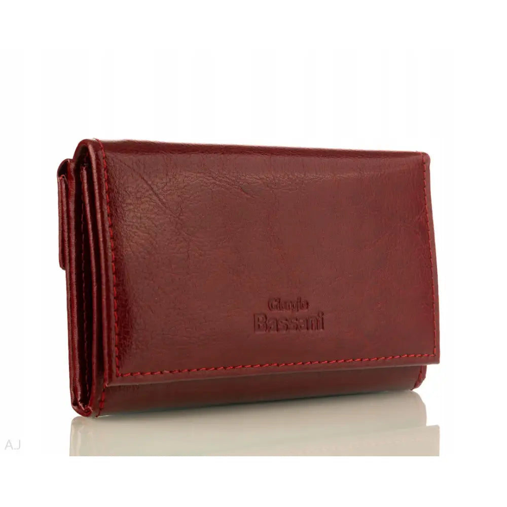 Dame Lommebok i Skinn Stor med mange Rom