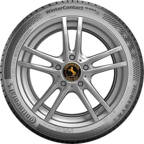 Dekk Continental Wintercontact Ts 870 p 215/65 R17 99 t Fr