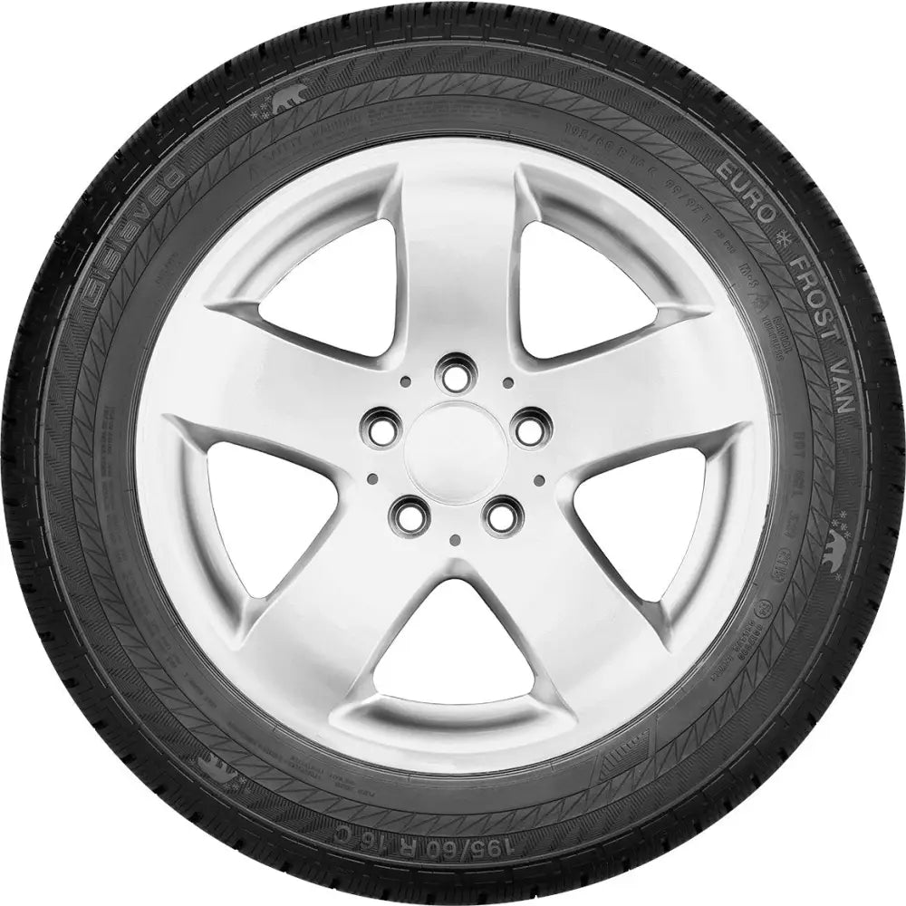 Dekk Gislaved Euro*frost Van 205/65 R16 107/105 t c