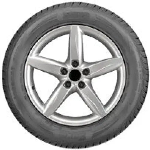 Dekk Sava Intensa Suv 235/60 R16 100 h Mfs