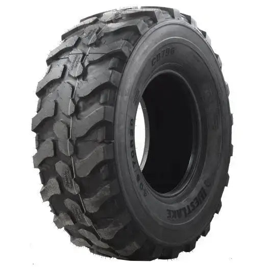 Dekk West Lake Cb796 405/70 R20 143 b