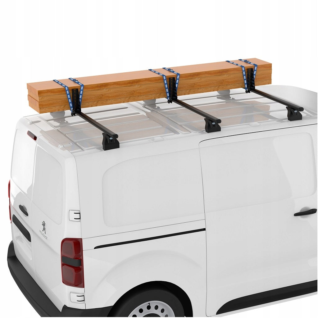 Takstativ Renault Trafic Cruz - sett bakfra