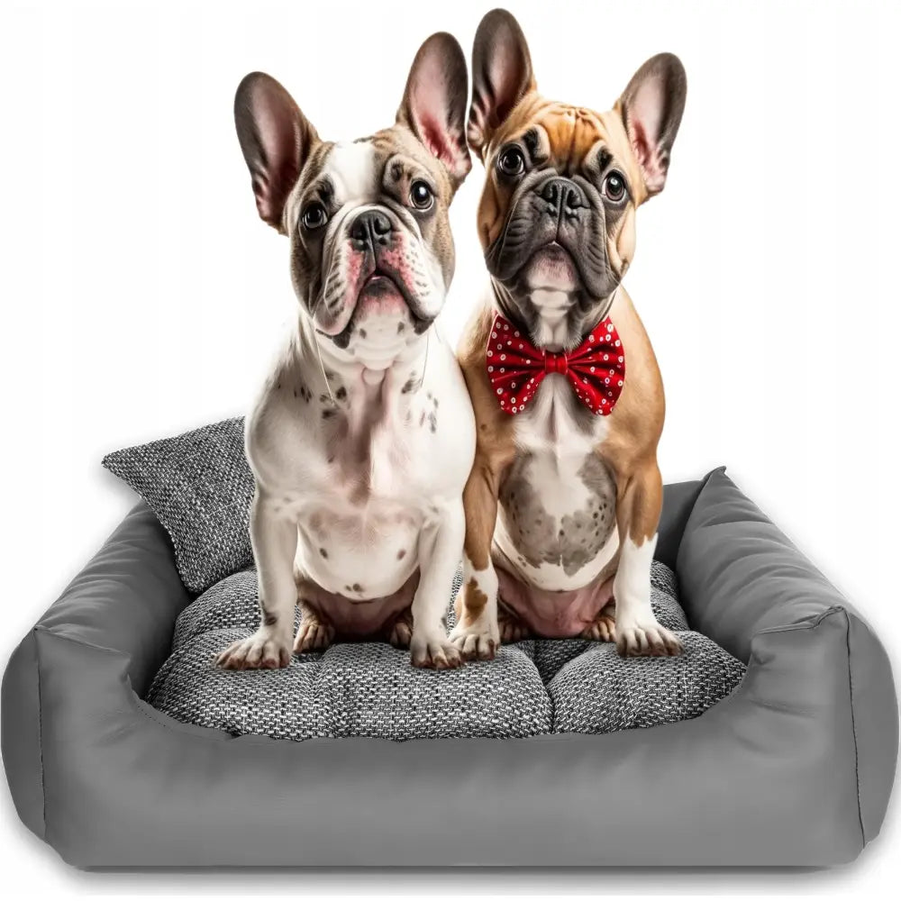 Elegant hundeseng M 75x65cm i grått kunstlær, med to franske bulldoger, én med rød prikkete sløyfe, foran hvit bakgrunn.