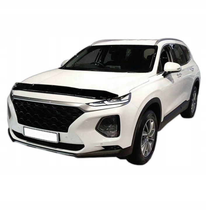 Panserbeskytter Hyundai Santa Fe IV (2018-2021) pre-facelift - sett bakfra