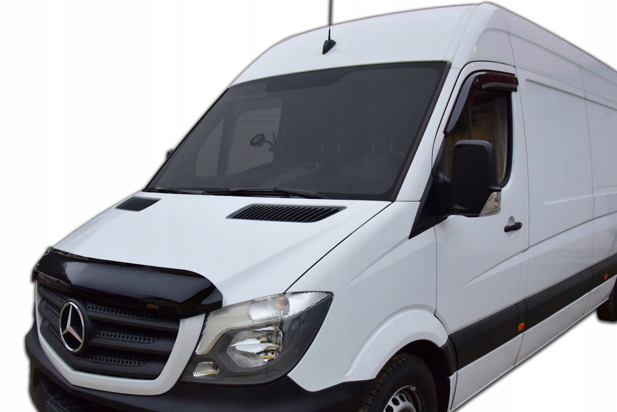 Panserbeskytter Mercedes Sprinter (W906) II (2014-2019) - sett bakfra