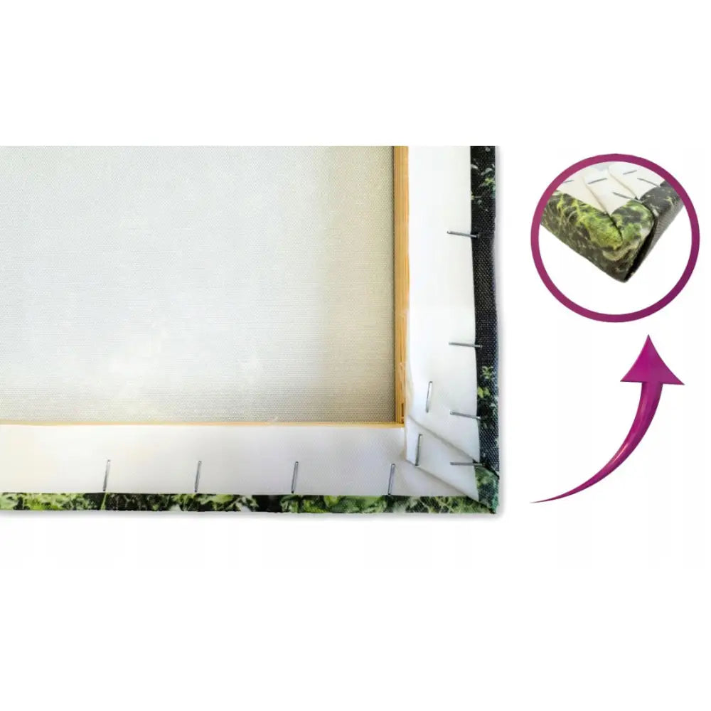 Fargerik kapybara lerretsbilde, bakside med stiftet hvitt lerret og nærbilde av hjørne på treramme.