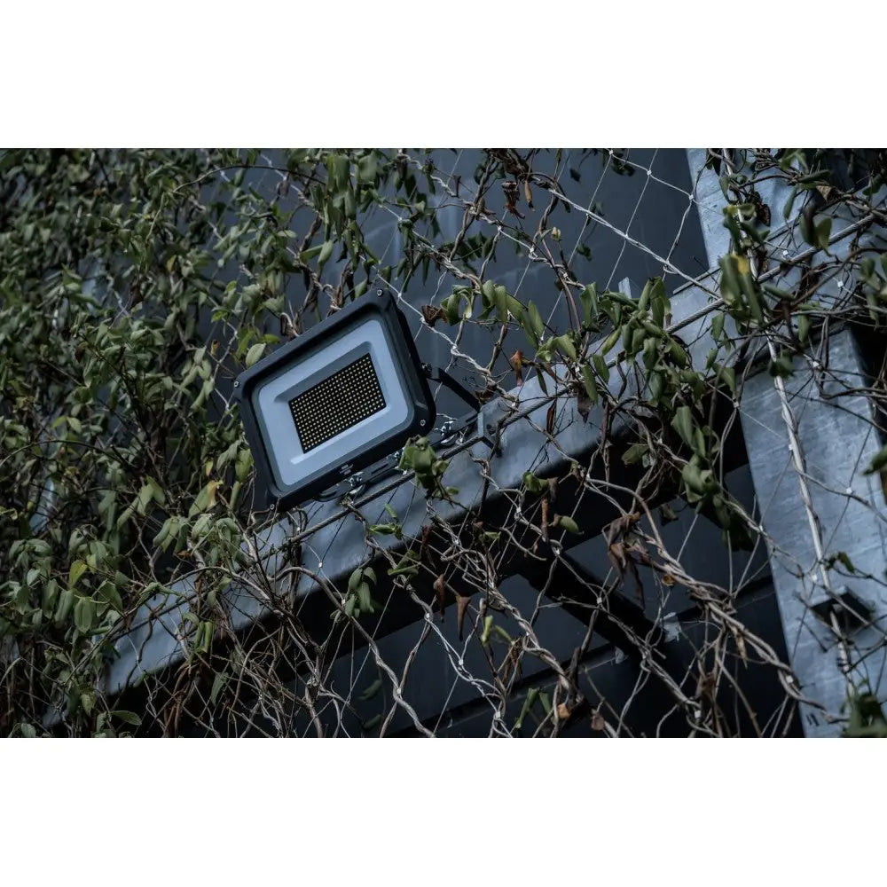 LED-flomlys JARO, sort og grå modell montert på gjerde med klatreplanter i grønt og brunt.