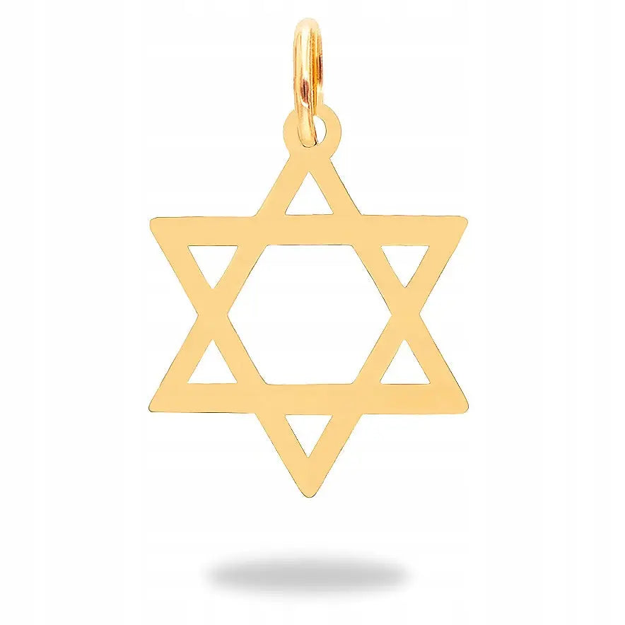 Charm Davidsstjerne Anheng - 14 Karat 19 Mm Kjede