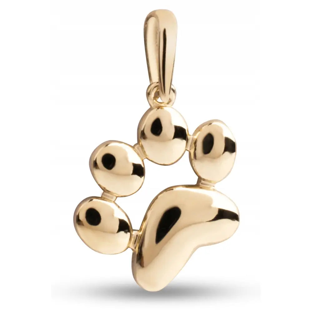 Charm Gyllen Hundepote Anheng til Kjede