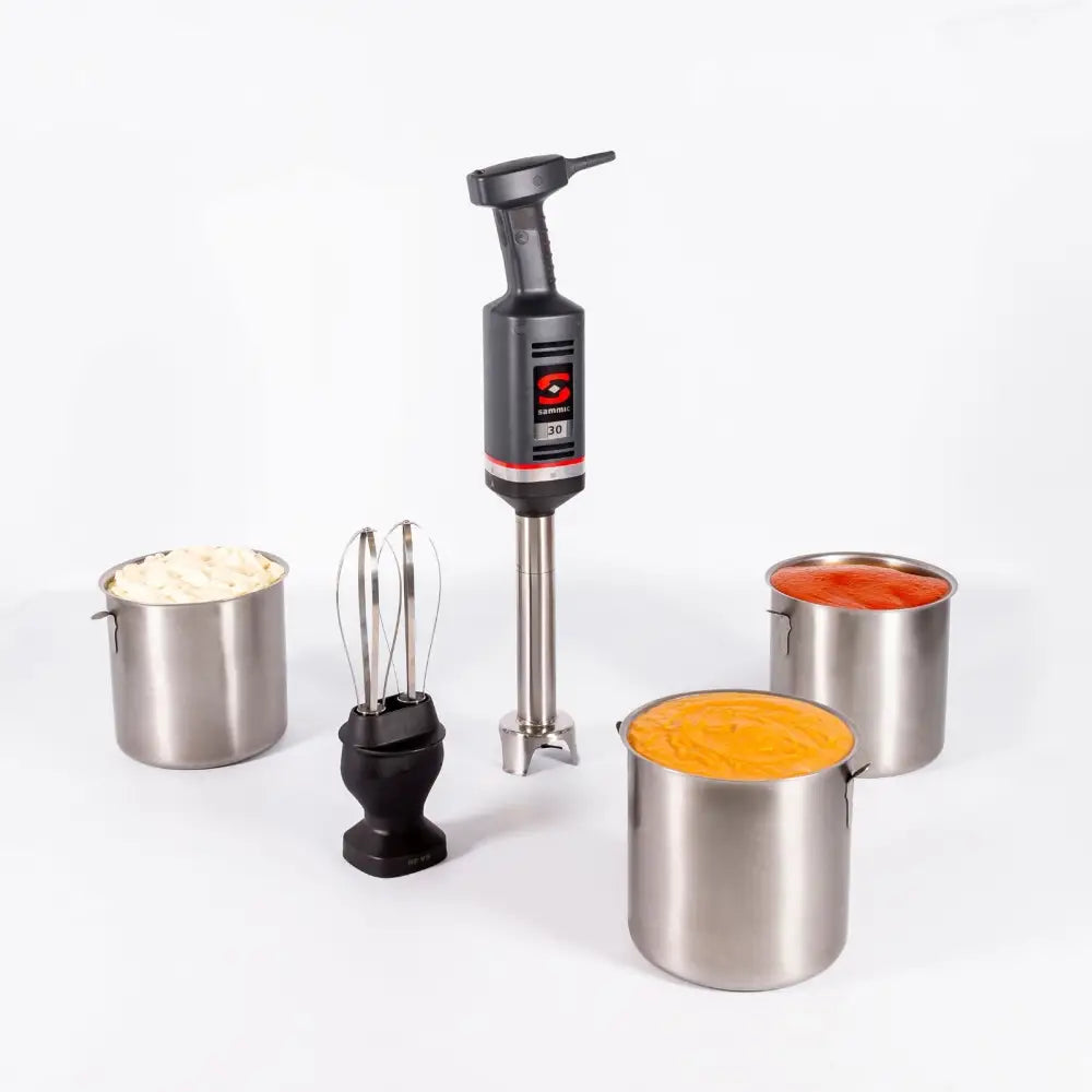 Håndholdt Mikser med Visp og Blenderarm 570 w - Sammic 3030676