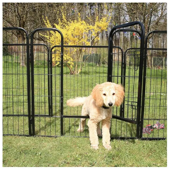 Hundegård utendørs løpegrind med 8 paneler, lysebrun hund går ut gjennom svart metallgrind på grønt gress i hagen.