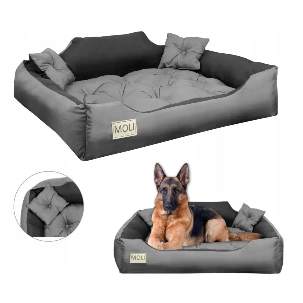 Hundeseng Inngjerdet Område 115x95 cm grå, med høy kant, to puter og schæferhund som hviler komfortabelt.
