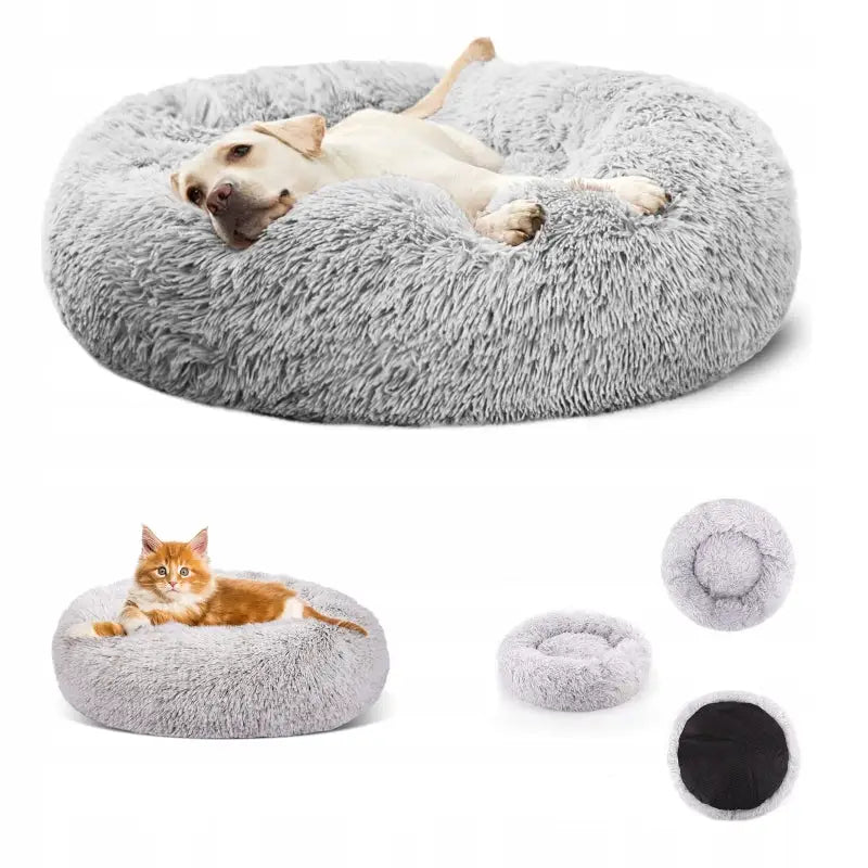 Hundeseng med myk pute, lysegrå og rund, vist med hund og katt som hviler sammen inne i sengen.