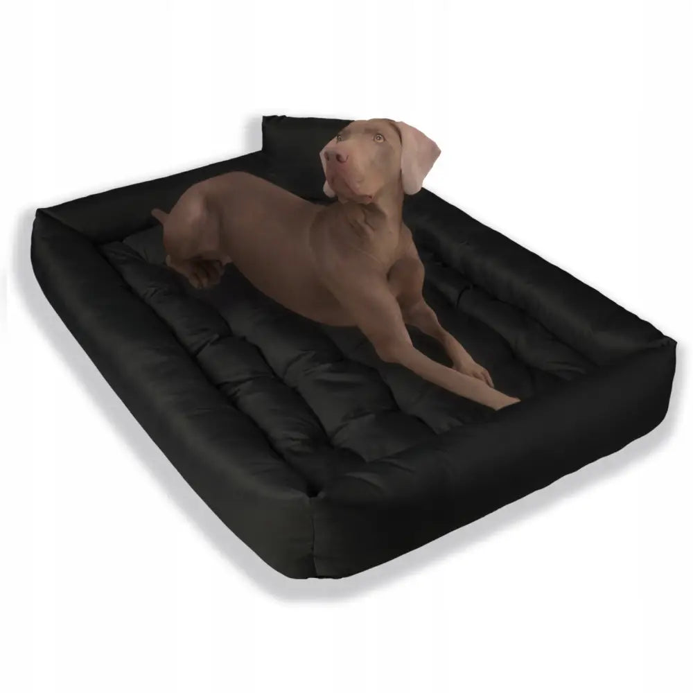 Hundeseng Sofa 120x90 i svart, vanntett materiale med høy kant, mellomstor brun hund ligger avslappet på sengen.