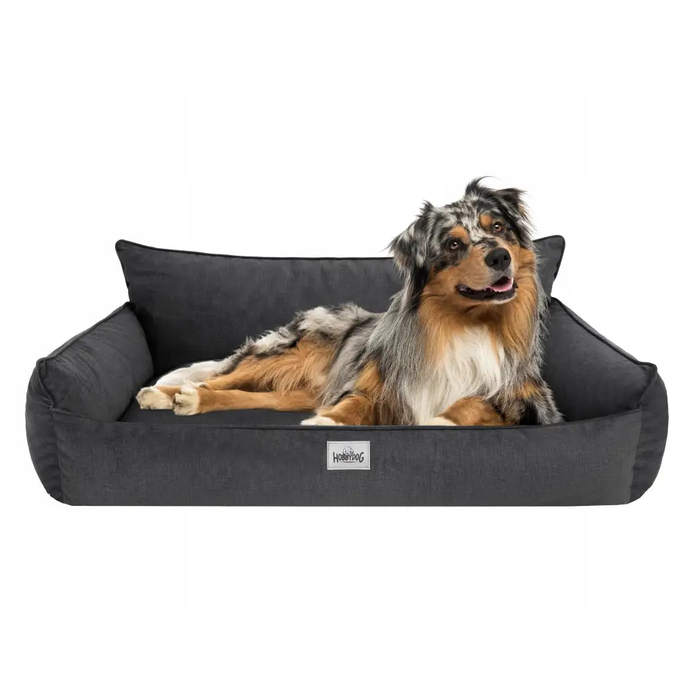 Hundeseng Sofa XXL 106x80 cm i mørkegrått, med mellomstor hund som hviler mot høye kanter, frontvisning mot hvit bakgrunn.