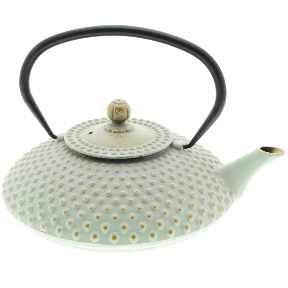 Jernkanne tevannkoker i lys grønn støpejern, skrå vinkel viser sort bøyd håndtak og prikkete overflatemønster.