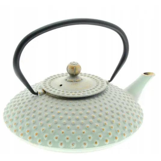 Jernkanne tevannkoker i lys grønn støpejern, prikkete struktur, sort håndtak og dekorativt lokk sett skrått ovenfra.