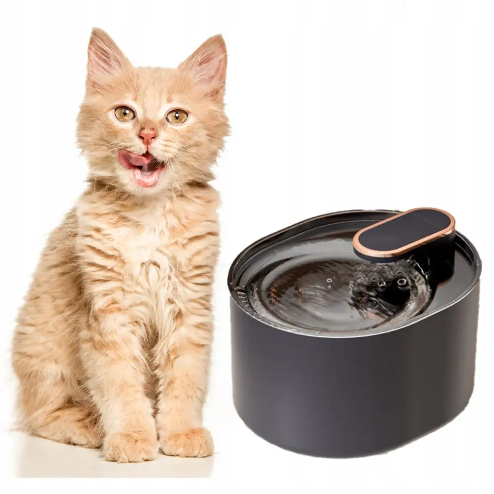 Kattedrikkefontene Automatisk Drikkeskål 3L, svart modell med sirkulerende vann, lysebrun kattunge ved siden av.