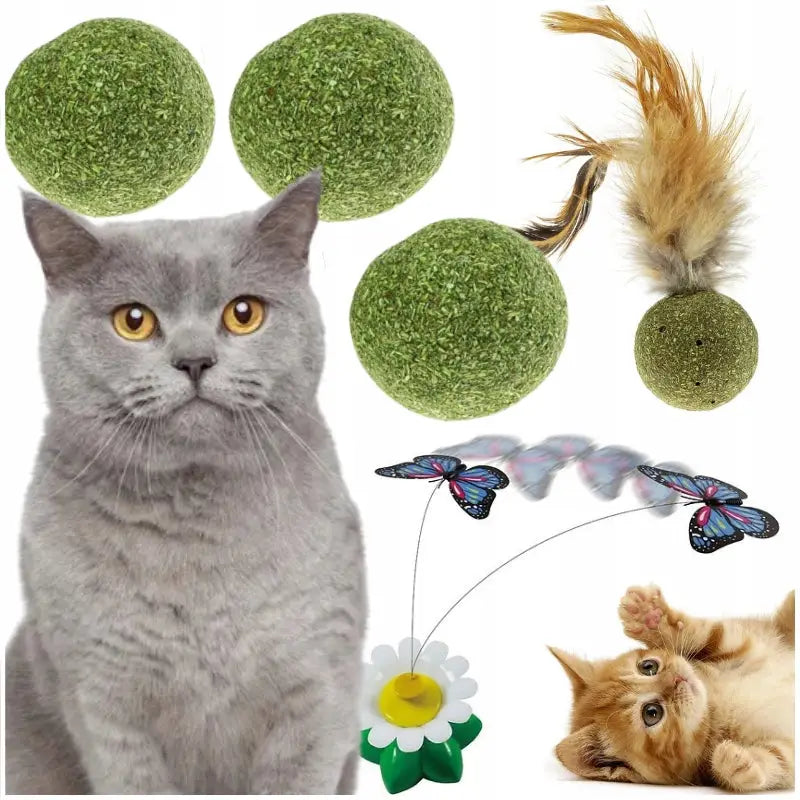 Kattemynte for Katter, voksen katt og kattunge leker med tre grønne baller, en fjærkule og en blomst med sommerfugl.