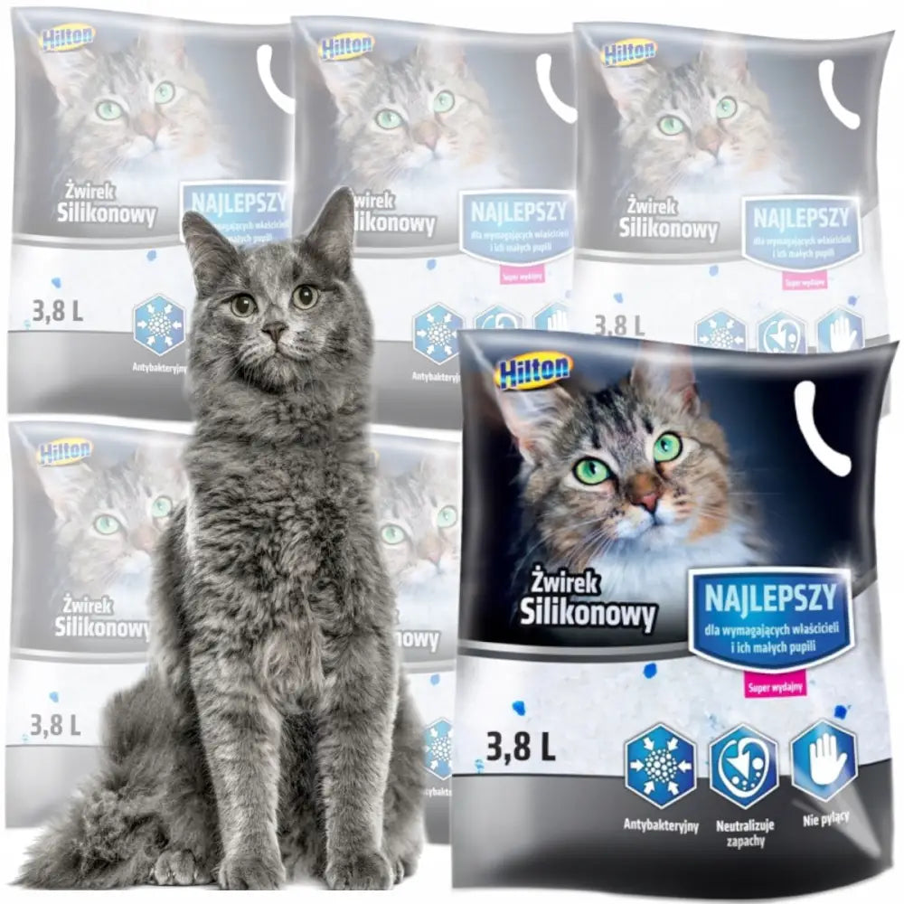 Kattesand Hilton Silikonsand 6X3,8L, grå katt foran seks poser kattegrus med blå og hvite elementer.