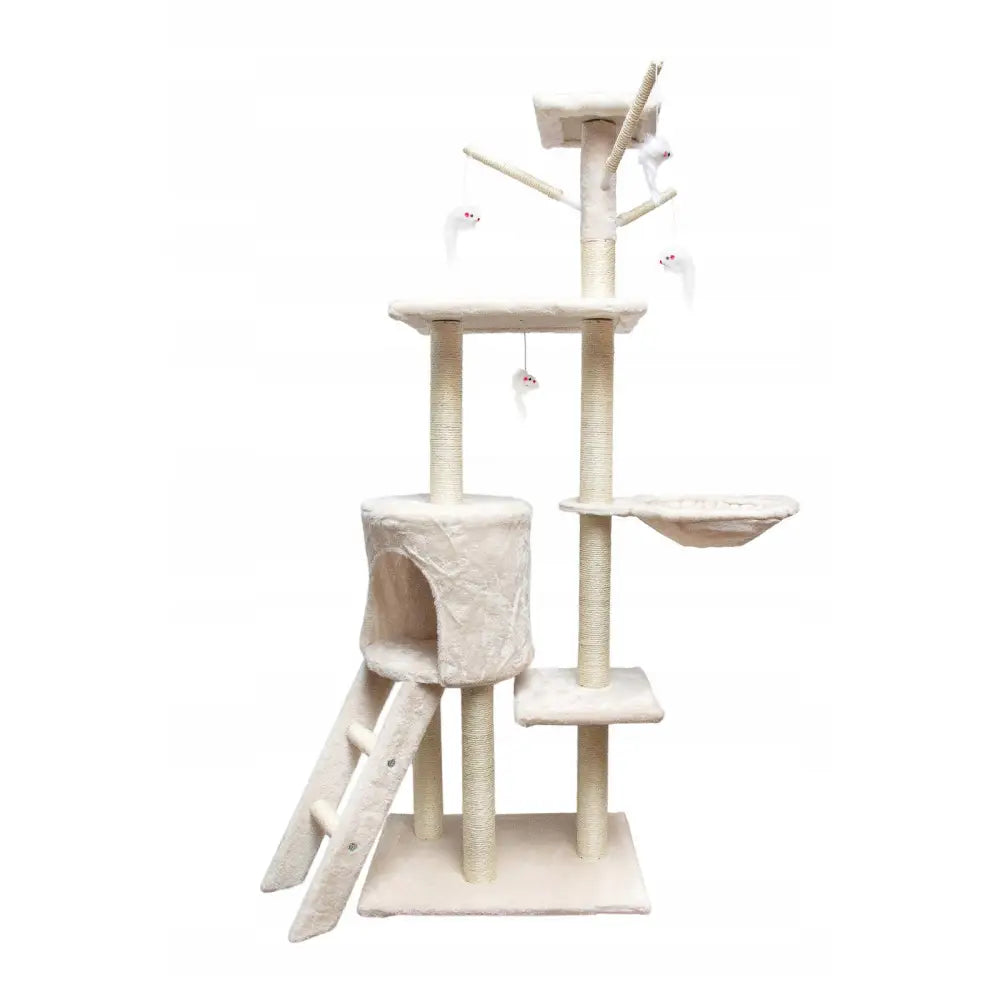 Kattetreklorestativ med tårn, flere plattformer, hule, hengende leker og skrå stige, sett forfra.