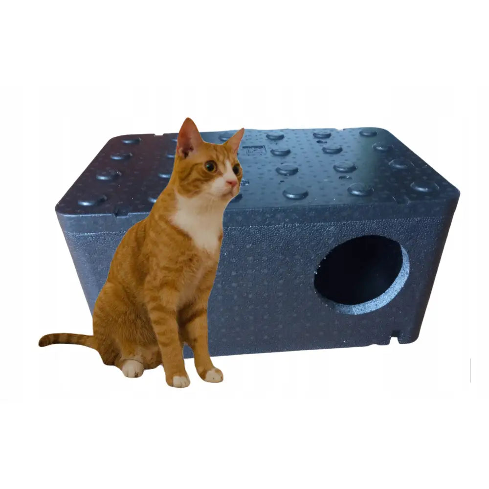 Keramikk katteluke i svart isoporkasse med rund inngang, vist sammen med oransje og hvit katt for størrelse.