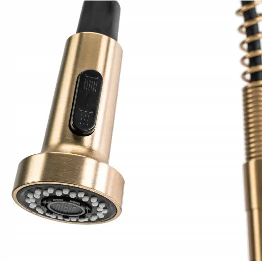 Kjøkkenbatteri Rea Colin Børstet Gull