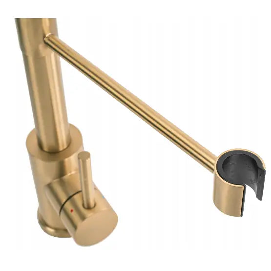 Kjøkkenbatteri Rea Colin Børstet Gull