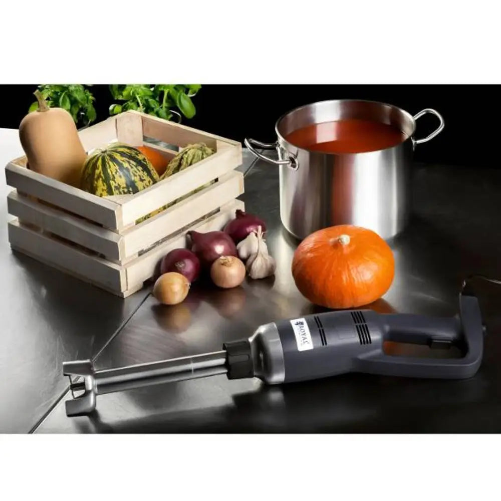 Kraftig Håndholdt Blender med 300mm Arm - 350w 230v