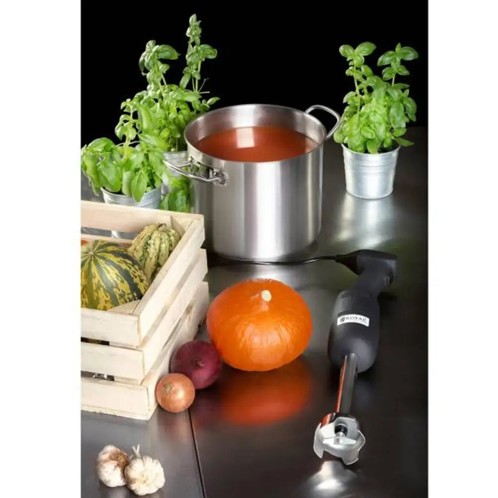 Kraftig Håndholdt Mikser Blender 160mm 220w 230v Royal Catering